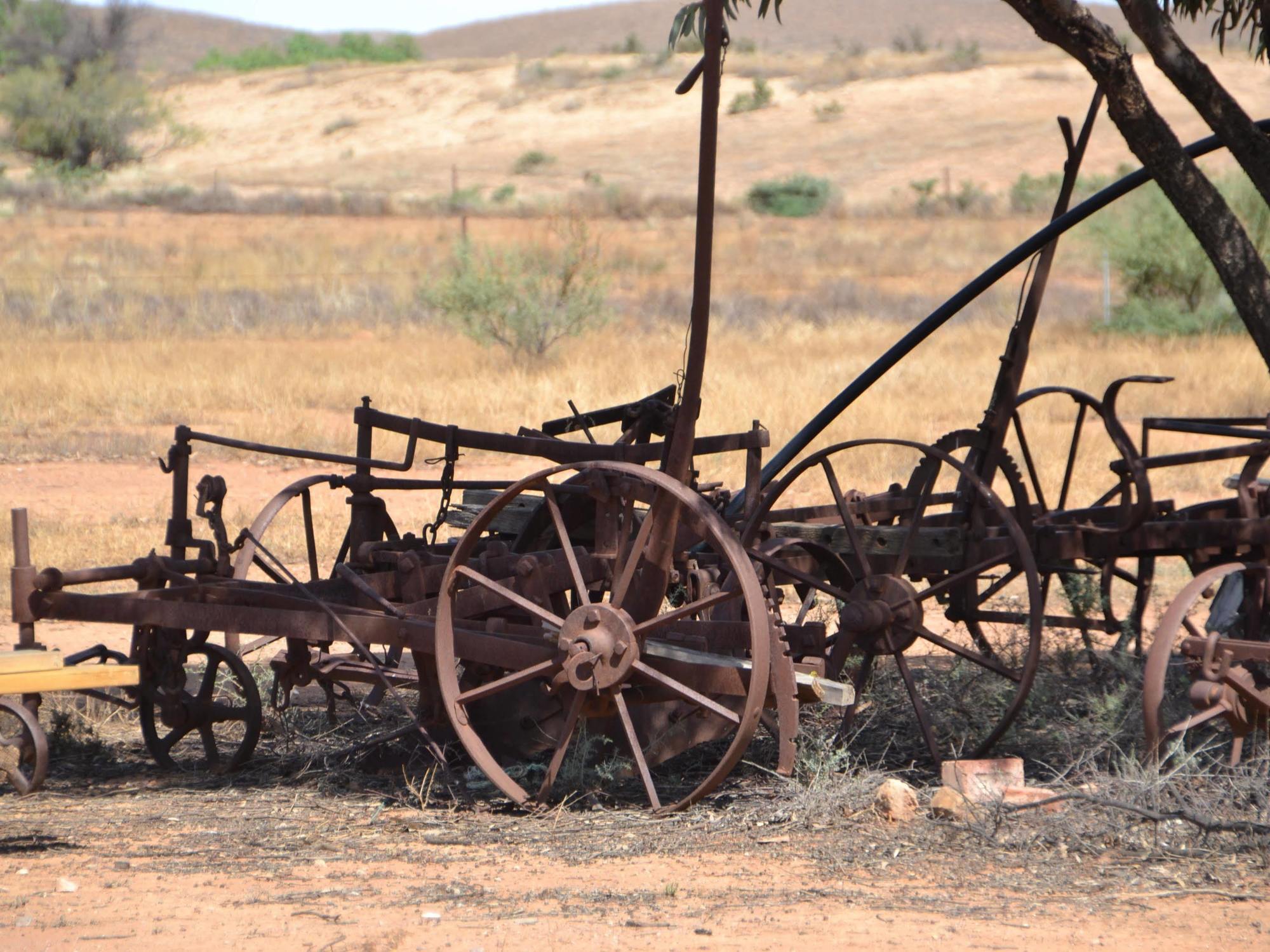 Windana Cottages Hawker Dış mekan fotoğraf